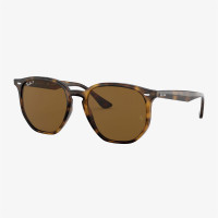 RAY-BAN 0RB4306 Unisex Havana Güneş Gözlüğü