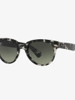 Ray-Ban 0RB2199 Unisex Gri Havana Güneş Gözlüğü Ray-Ban 0RB2199 Unisex Gri Havana Güneş Gözlüğü