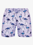 Bluemint Arthus Erkek Royal Flamingo Mayo Şort Bluemint Arthus Erkek Royal Flamingo Mayo Şort