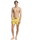 Quiksilver Erkek Volley Short Everyday 15 M Jamv Sarı Quiksilver Erkek Volley Short Everyday 15 M Jamv Sarı