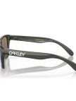 Oakley Frogskins Xxs Erkek Gri Gözlük Oakley Frogskins Xxs Erkek Gri Gözlük