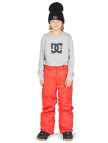 Dc Erkek Çocuk Snowboard Pantolonu Banshee Youth Siyah Dc Erkek Çocuk Snowboard Pantolonu Banshee Youth Siyah