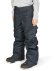 Dc Erkek Çocuk Snowboard Pantolonu Banshee Youth Siyah Dc Erkek Çocuk Snowboard Pantolonu Banshee Youth Siyah