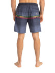 Billabong All Day Htr Stripe Lb Erkek Volley Short Billabong All Day Htr Stripe Lb Erkek Volley Short