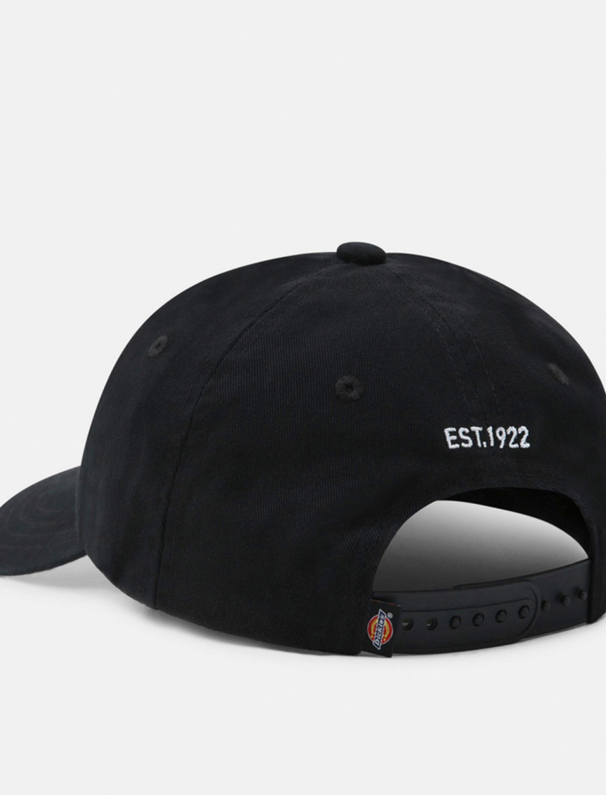 Dickies Hardwick Erkek Siyah Bere Dickies Hardwick Erkek Siyah Bere