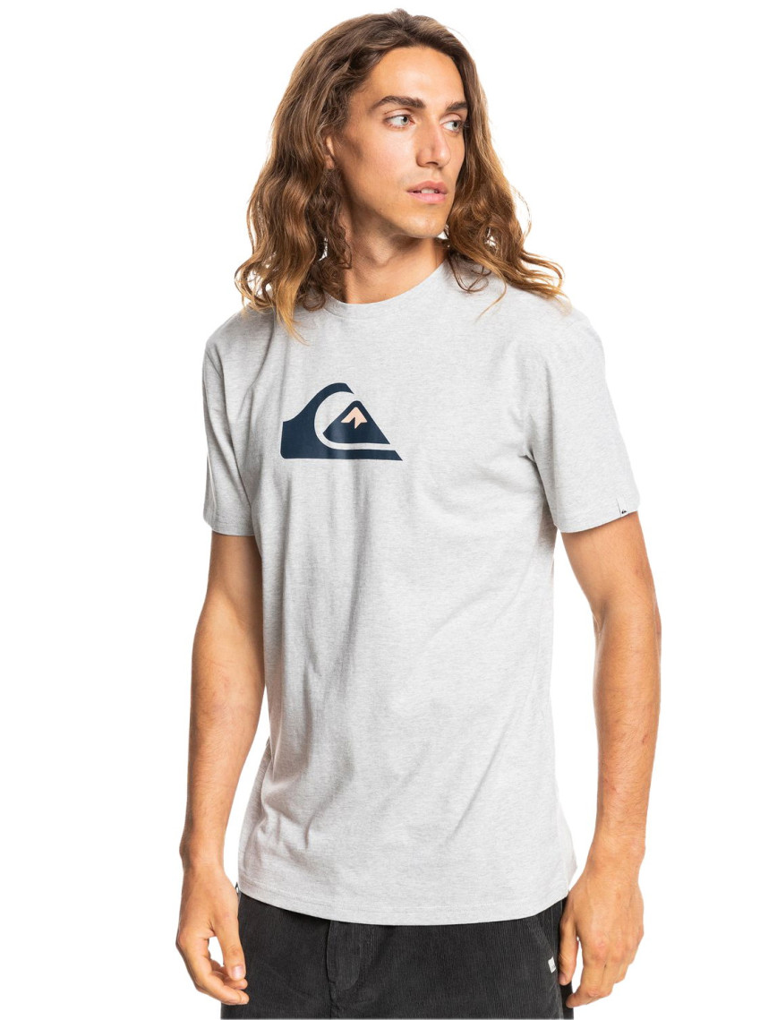 Quiksilver Complogo Erkek Renkli Tişört