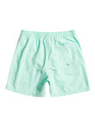 Quiksilver Erkek Volley Short Vert 16 M Jamv Beach Glass Günlük Giyim Quiksilver Erkek Volley Short Vert 16 M Jamv Beach Glass Günlük Giyim