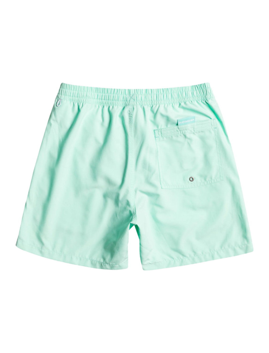 Quiksilver Erkek Volley Short Vert 16 M Jamv Beach Glass Günlük Giyim Quiksilver Erkek Volley Short Vert 16 M Jamv Beach Glass Günlük Giyim