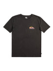 Quiksilver Pastimeparadise Erkek Siyah Tişört Quiksilver Pastimeparadise Erkek Siyah Tişört