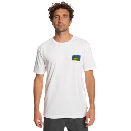 Quiksilver Colourflow Erkek Renkli Tişört