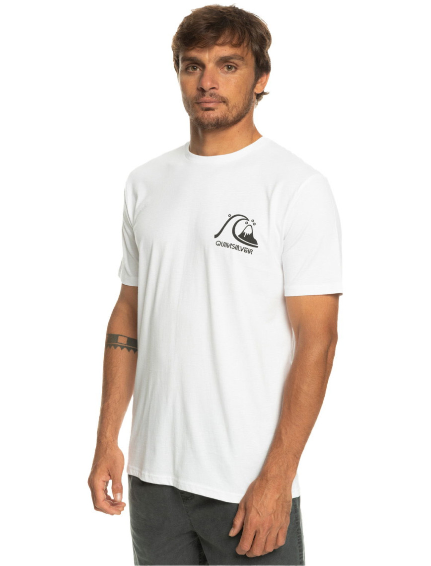Quiksilver Theoriginaltee Erkek Renkli Tişört