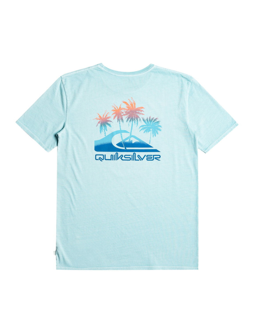 Quiksilver Pastimeparadise Erkek Mavi Tişört Quiksilver Pastimeparadise Erkek Mavi Tişört