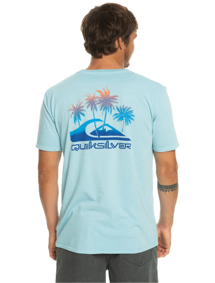 Quiksilver Pastimeparadise Erkek Mavi Tişört Quiksilver Pastimeparadise Erkek Mavi Tişört