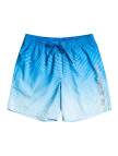 Quiksilver Erkek Volley Short Warped Logo 17 M Jamv Siyah
