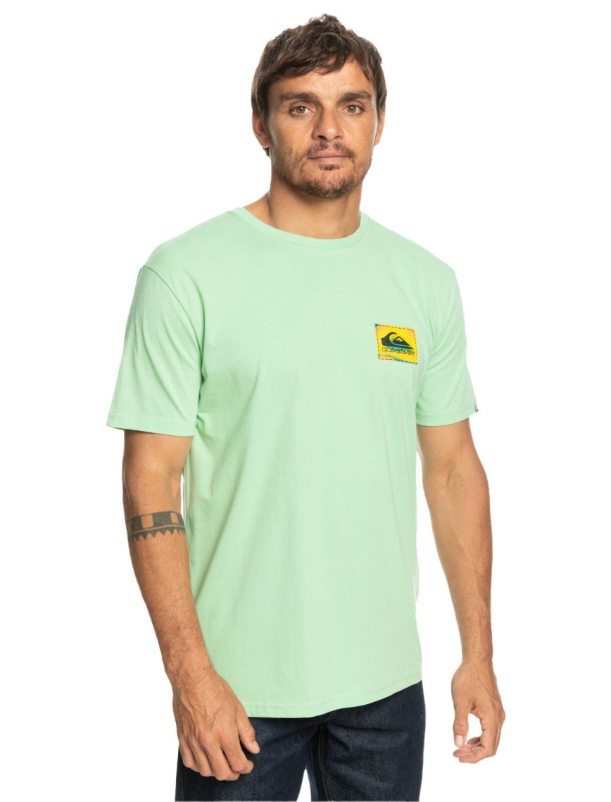 Quiksilver Colourflow Erkek Yeşil Tişört Quiksilver Colourflow Erkek Yeşil Tişört