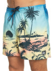 Quiksilver Erkek Volley Short Paradise 15 M Jamv Sarı Quiksilver Erkek Volley Short Paradise 15 M Jamv Sarı