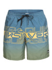 Quiksilver Erkek Volley Short Wordblock 17 M Jamv Quiksilver Erkek Volley Short Wordblock 17 M Jamv