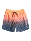 Quiksilver Erkek Volley Short Warped Logo 17 M Jamv Siyah