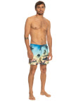 Quiksilver Erkek Volley Short Paradise 15 M Jamv Sarı Quiksilver Erkek Volley Short Paradise 15 M Jamv Sarı