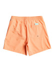 Quiksilver Erkek Şort Volley Short Vert Somon Günlük Giyim Quiksilver Erkek Şort Volley Short Vert Somon Günlük Giyim