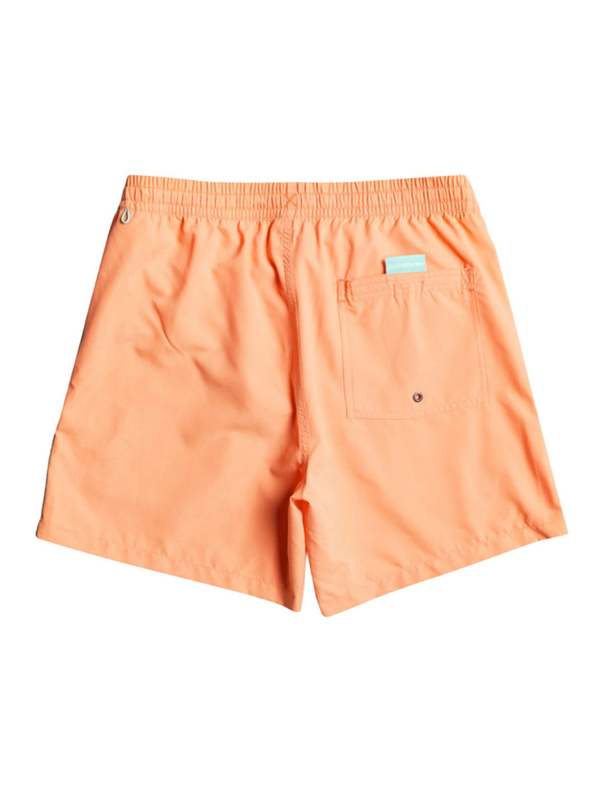 Quiksilver Erkek Şort Volley Short Vert Somon Günlük Giyim Quiksilver Erkek Şort Volley Short Vert Somon Günlük Giyim