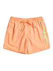 Quiksilver Erkek Şort Volley Short Vert Somon Günlük Giyim Quiksilver Erkek Şort Volley Short Vert Somon Günlük Giyim