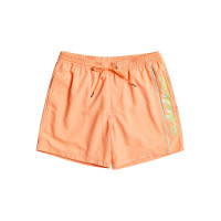 Quiksilver Erkek Şort Volley Short Vert Somon Günlük Giyim Quiksilver Erkek Şort Volley Short Vert Somon Günlük Giyim