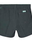 Quiksilver Surfsilk 16 M Jamv Erkek Volley Short Quiksilver Surfsilk 16 M Jamv Erkek Volley Short
