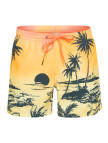 Quiksilver Erkek Volley Short Paradise 15 M Jamv Sarı Quiksilver Erkek Volley Short Paradise 15 M Jamv Sarı