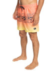 Quiksilver Wordblock 17 Jamv Erkek Volley Short Quiksilver Wordblock 17 Jamv Erkek Volley Short