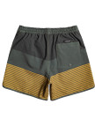 Quiksilver Tijuana 16 Jamv Erkek Volley Short