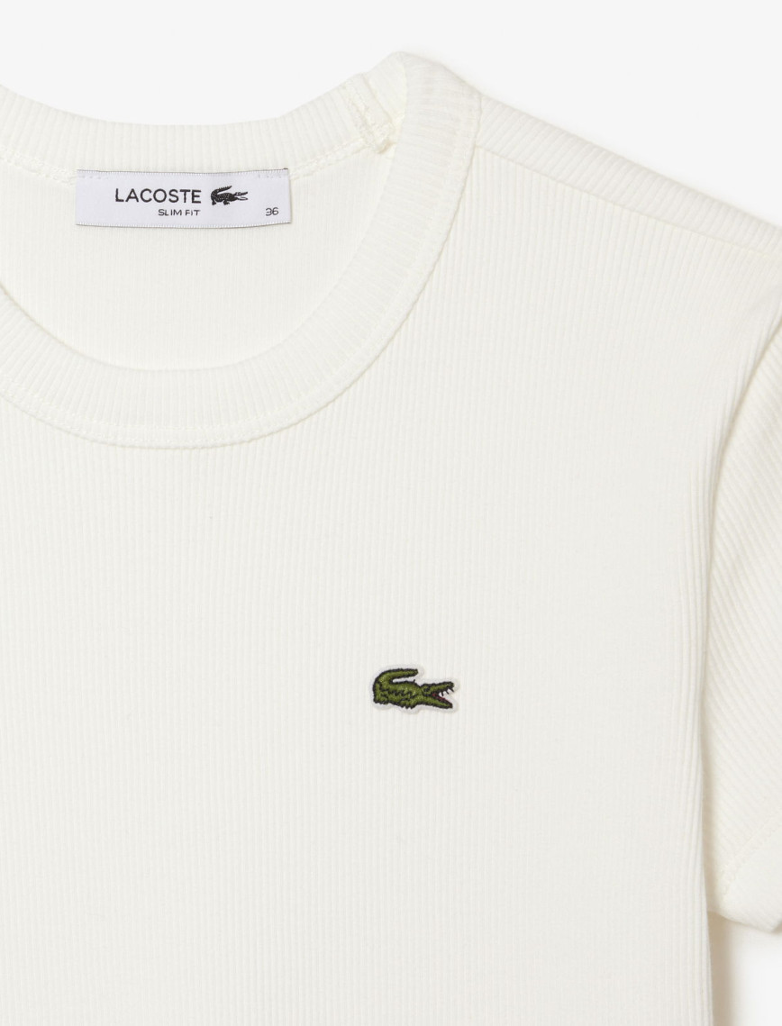 Lacoste Kadın Slim Fit Bisiklet Yaka Beyaz T-Shirt Lacoste Kadın Slim Fit Bisiklet Yaka Beyaz T-Shirt