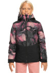 Roxy Silverwinter Kız Çocuk Siyah Snowboard Ceketi Roxy Silverwinter Kız Çocuk Siyah Snowboard Ceketi