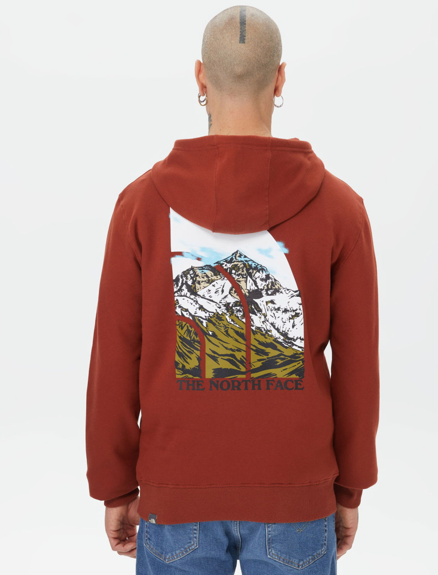The North Face Seasonal Graphic Hoodie Erkek Kahverengi Sweatshirt The North Face Seasonal Graphic Hoodie Erkek Kahverengi Sweatshirt