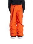 Dc Erkek Çocuk Snowboard Pantolonu Banshee Youth Dc Erkek Çocuk Snowboard Pantolonu Banshee Youth