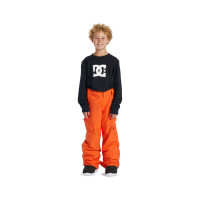 Dc Erkek Çocuk Snowboard Pantolonu Banshee Youth Dc Erkek Çocuk Snowboard Pantolonu Banshee Youth