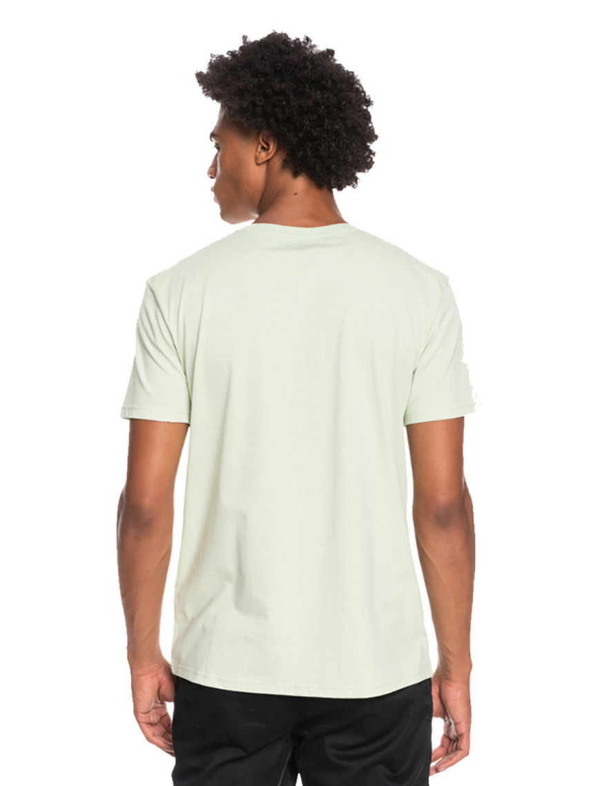 Quiksilver Complogo Erkek Yeşil Tişört Quiksilver Complogo Erkek Yeşil Tişört