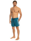 Quiksilver Erkek Volley Short Vert Mavi Günlük Giyim Quiksilver Erkek Volley Short Vert Mavi Günlük Giyim