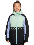 Roxy Snowmist Kız Çocuk Siyah Snowboard Ceketi Roxy Snowmist Kız Çocuk Siyah Snowboard Ceketi
