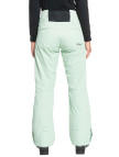 Roxy Diversion Pt Kadın Yeşil Snowboard Pantolonu Roxy Diversion Pt Kadın Yeşil Snowboard Pantolonu