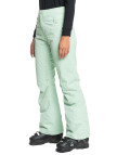 Roxy Diversion Pt Kadın Yeşil Snowboard Pantolonu Roxy Diversion Pt Kadın Yeşil Snowboard Pantolonu