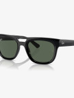 RAY-BAN 0RB4426 Injected Unisex Gri Güneş Gözlüğü