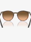 RAY-BAN 0RB2204 Acetate Unisex Kahverengi Güneş Gözlüğü RAY-BAN 0RB2204 Acetate Unisex Kahverengi Güneş Gözlüğü