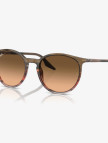 RAY-BAN 0RB2204 Acetate Unisex Kahverengi Güneş Gözlüğü RAY-BAN 0RB2204 Acetate Unisex Kahverengi Güneş Gözlüğü