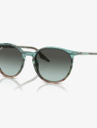 RAY-BAN 0RB2204 Acetate Unisex Kahverengi Güneş Gözlüğü RAY-BAN 0RB2204 Acetate Unisex Kahverengi Güneş Gözlüğü