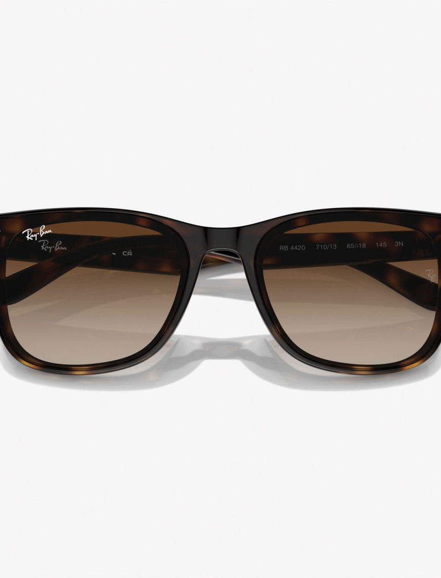 RAY-BAN 0RB4420 Injected Unisex Kahverengi Güneş Gözlüğü RAY-BAN 0RB4420 Injected Unisex Kahverengi Güneş Gözlüğü