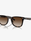 RAY-BAN 0RB4420 Injected Unisex Siyah Güneş Gözlüğü RAY-BAN 0RB4420 Injected Unisex Siyah Güneş Gözlüğü