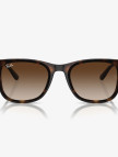 RAY-BAN 0RB4420 Injected Unisex Kahverengi Güneş Gözlüğü RAY-BAN 0RB4420 Injected Unisex Kahverengi Güneş Gözlüğü