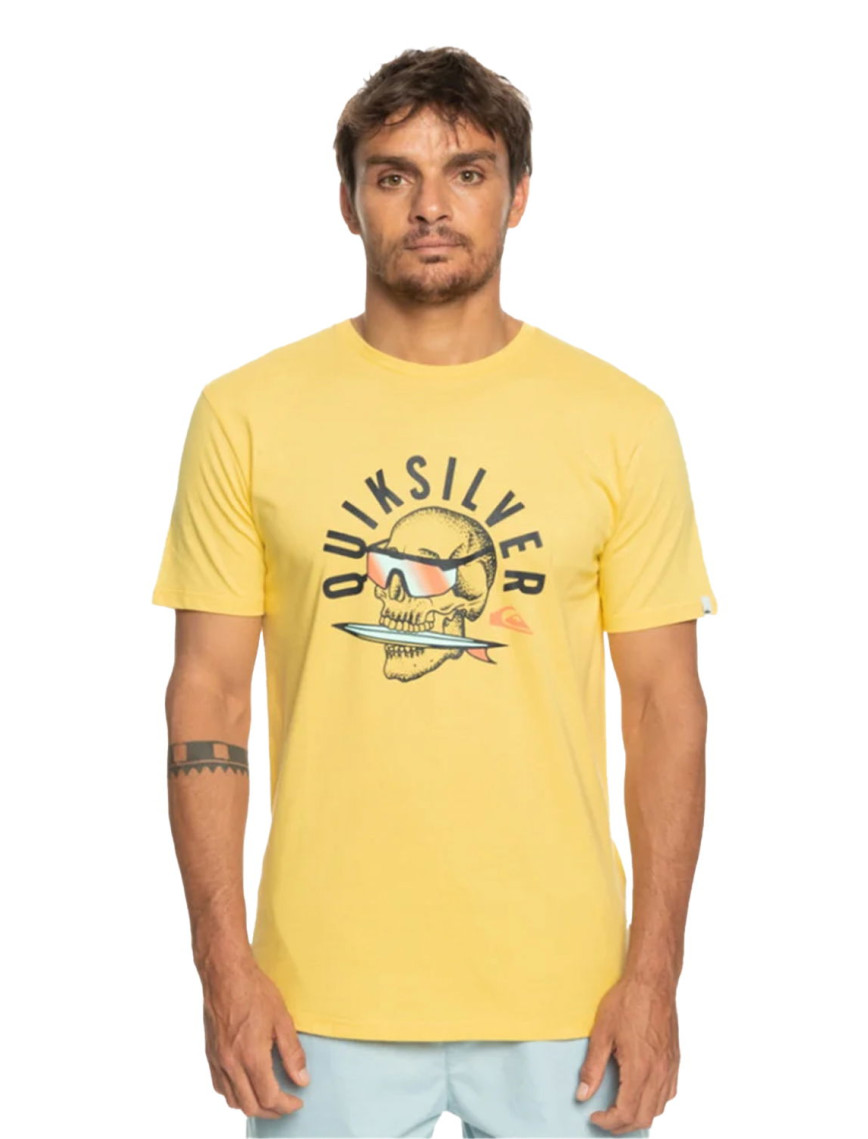Quiksilver Qsrockinskull Erkek Siyah Tişört Quiksilver Qsrockinskull Erkek Siyah Tişört