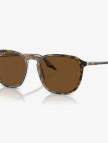 RAY-BAN 0RB2203 Acetate Unisex Kahverengi Güneş Gözlüğü RAY-BAN 0RB2203 Acetate Unisex Kahverengi Güneş Gözlüğü